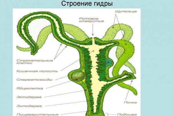 Найдется все kraken 2krn cc
